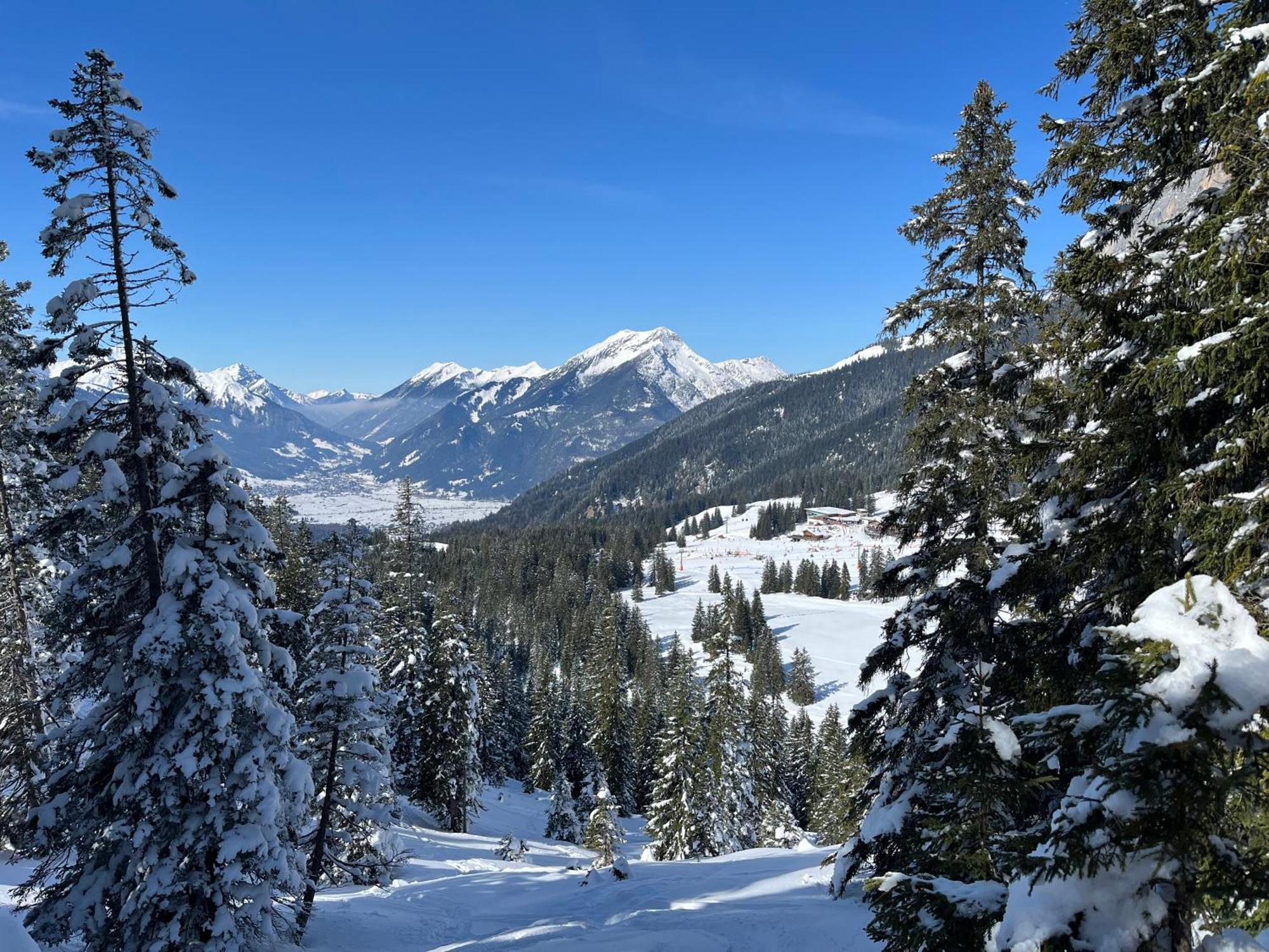 Haus Alpenblume Lejlighed Ehrwald Eksteriør billede