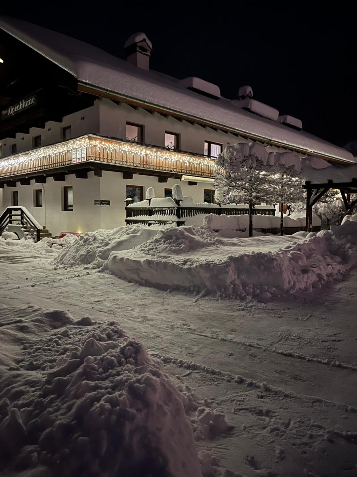 Haus Alpenblume Lejlighed Ehrwald Eksteriør billede